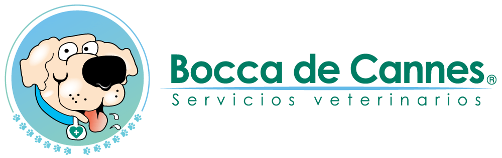 Bocca de Cannes