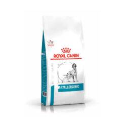 Anallergenic Canine